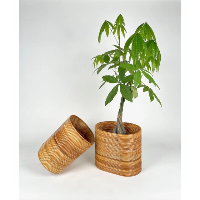Mid-Century Oval Rattan and Bamboo Basket Plant Holders or Vases, Italy, 1960s, Set of 2 For Sale - Image 6 of 14