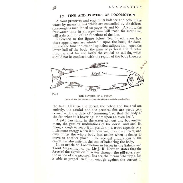 Traditional "The Lonsdale Library: Trout Fishing From All Angles" 1929 Taverner, Eric For Sale - Image 3 of 11