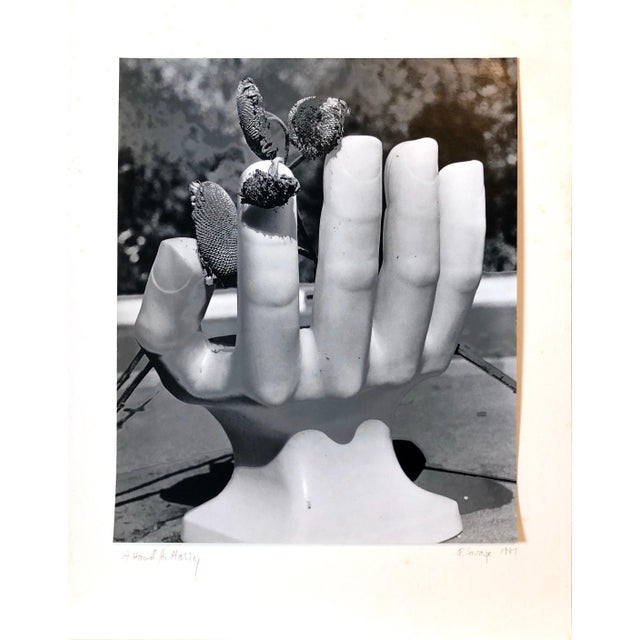 Naomi Savage, Photo Of Pedro Friedeberg Hand Chair Vintage Silver Gelatin Photograph, 1981 For Sale In Miami - Image 6 of 7