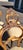Wood Set 6 Carved Walnut French Baloon Back Chairs For Sale - Image 7 of 12