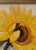 Heavy Textured Framed Yellow Sunflower Painting on Canvas. For Sale - Image 4 of 4