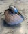 This rare shell minaudiere from Marguerite Stix has a ruby cabochon and large blister pearl for the clasp and a gold...