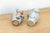 Pair of Miniature Floral Avian Crackle Glaze Jars For Sale - Image 4 of 8