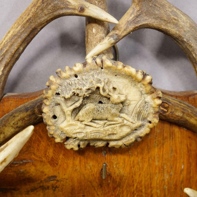 Antique Black Forest Antler Key Rack, Germany Ca. 1930s For Sale - Image 6 of 7