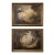 Pair of Early 20th Century Oil Paintings For Sale
