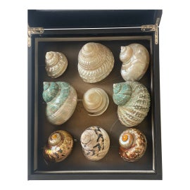 Example of Boxes