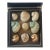 1960s Gorgeous Large Turno Sea Shell Collection in a Shadow Box For Sale