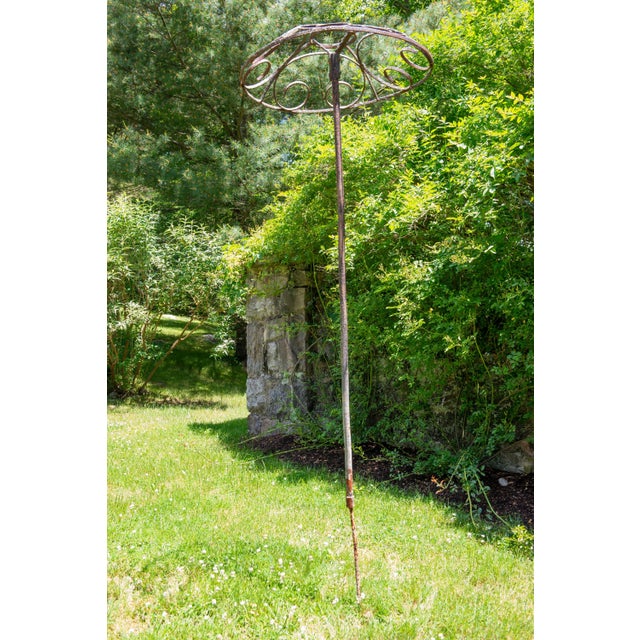 Set of Four French garden Rose Trees For Sale In New York - Image 6 of 12