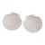 Pair of White Ceramic Seashell Plates For Sale