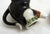 Black Zoomorphic Cat Teapot in English Earthenware by Tony Wood Studio, 1970s For Sale - Image 8 of 12