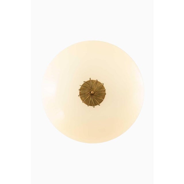 Brass and Glass Ceiling Lamp by Paavo Tynell for Taito Oy, 1950s For Sale - Image 3 of 8