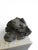 Lion Head Relief, 1970 For Sale - Image 6 of 9