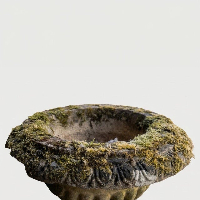English Garden Basin on Patinated Stone Pedestal, 1920s For Sale - Image 13 of 16