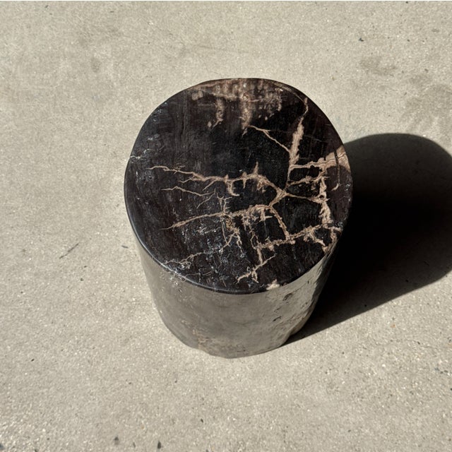 Side Table in Black Petrified Wood with Beige Fine Mesh Pattern For Sale - Image 6 of 18