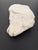 17th Century Marble Fragment Depicting a Lamb, Tuscany For Sale - Image 10 of 18