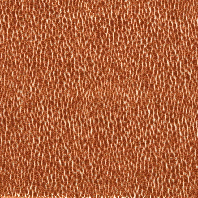 Harlequin Lacuna Fabric in Tiger - a Sample For Sale
