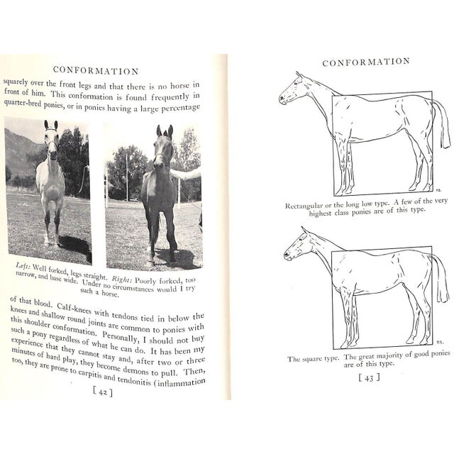 "Selection and Training of the Polo Pony" 1934 Cullum, Grove For Sale In New York - Image 6 of 12