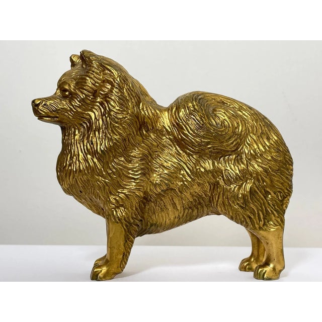 Art Deco Small Traditional Early 20th Century English Gilt Bronze Spitz Dog Car Mascot Figurine For Sale - Image 3 of 12