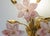 1970s Murano Wall Light Pink Flowers - Set of 2 For Sale - Image 11 of 15