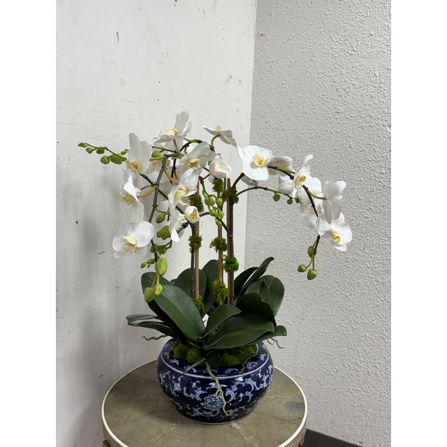 Realism Winward Home Orchid in a Fishbowl For Sale - Image 3 of 12