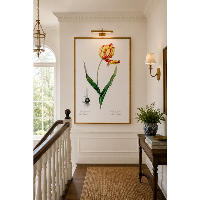 Yellow Didier's Tulip by Redouté, Vintage Botanical Art Print, 24" X 32" For Sale - Image 8 of 10