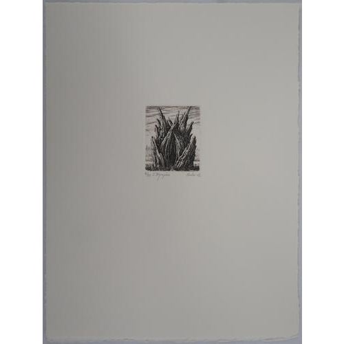 Francois HOUTIN 2nd nymphaeum Original engraving on Lana vellum Signed in pencil lower right Numbered out of / 30 copies...