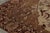 Rug & Kilim Antique Amritsar Rug in Beige-Brown Tones With Floral Medallion - Rug & Kilim For Sale - Image 4 of 10