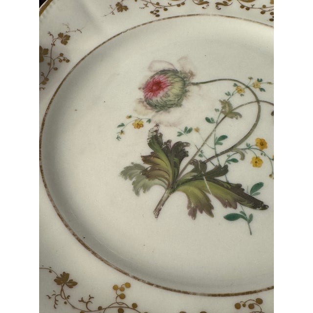 White Early 19th Century English Botanical Porcelain Plate For Sale - Image 8 of 9