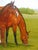 Textile Wendy Cartwright, Mother and Foal, 2009, Oil on Canvas For Sale - Image 7 of 14