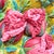 Textile 3d Rose Stumpwork Embroidery Art, Framed Botanical Sculpture, Handmade Floral Wall Decor For Sale - Image 7 of 12