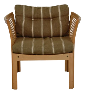 Plexus Armchair by Illum Wikkelsø, 1970s