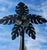 Palm tree floor lamp with crystal coconut lights. Made with aluminum for outdoor patio, porch, lanai or pool area. Can be...
