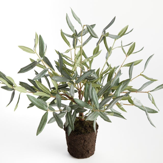 100% realistic a perfect copy of an olive tree. This dropin is a nomaintenance work of art. Complete with a grower, s pot,...