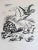 Otto Schubert, Die Lilienweisse Stute, Lithographs, 1920 For Sale - Image 7 of 7