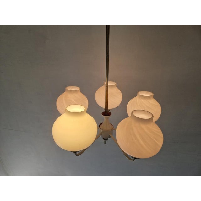 Mid-Century Tulip Glass Chandelier, 1950s For Sale - Image 6 of 16