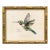 Reproduction Vintage "Garden Friends" Art Print (8) Framed Hummingbird For Sale
