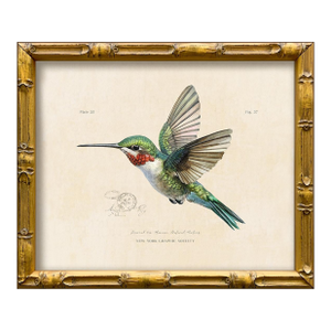 Reproduction Vintage "Garden Friends" Art Print (8) Framed Hummingbird