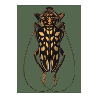 Bugs by Seguy #15 For Sale