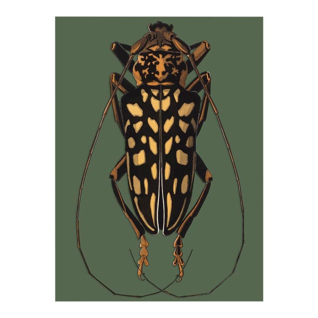 Bugs by Seguy #15 For Sale