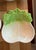 Set of 4 vintage ceramic bok choy/celery dishes. Made in Japan from the 1960/70's. Perfect for a spring table scape!