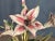 Winifred Cole Madonnna Lily Pottery Flowers & Brass Brutalist Sculpture For Sale - Image 6 of 15