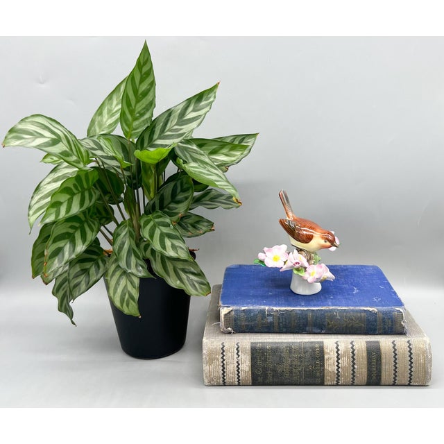 A truly exquisite Herend Hungary hand-painted porcelain songbird, perched sweetly among a lush spray of pink blossoms and...