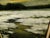Impressionist Dennis Sheehan "Untitled"Original Oil on Canvas Hand Signed Landscape Framed For Sale - Image 3 of 5
