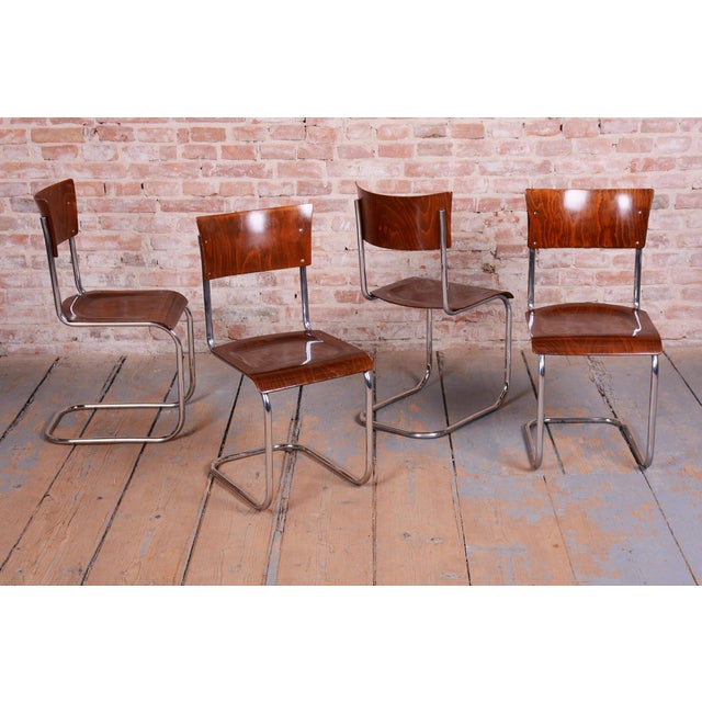 1930s Bauhaus Chairs in Beech and Chrome-Plated Steel, Czech, 1930s, Set of 4 For Sale - Image 5 of 14
