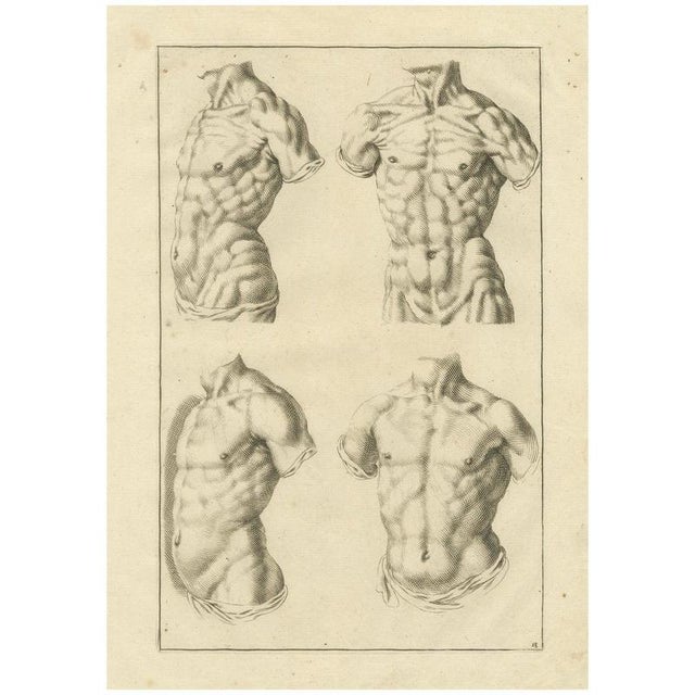 After De Lairesse, Male Torso Studies, 1745, Paper For Sale - Image 10 of 10