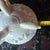 Mid-20th Century Coastal Westmoreland Pink Milk Glass "Argonaut" Covered Candy Dish For Sale In Palm Springs - Image 6 of 7