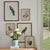 Early 21st Century Dainty Flora & Fauna Study, Set Of 9 For Sale - Image 5 of 5