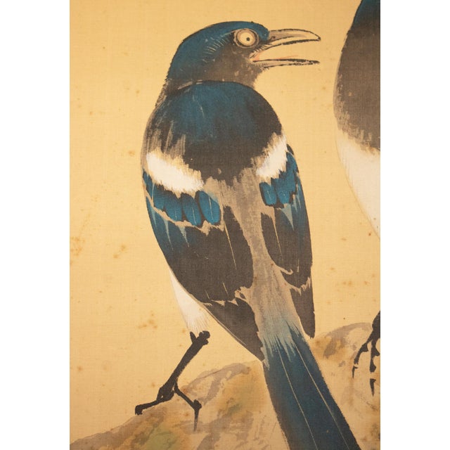 Early 20th Century C. 1900-1920s Imai Kōshi "Magpies on a Pine Tree", Japanese Silk Scroll Painting For Sale - Image 5 of 18