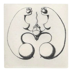 George Stuempfig Succubus Etching