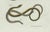 Bertuch, Four Slow Worms and Legless Lizards, 1802, Engraving For Sale - Image 3 of 10